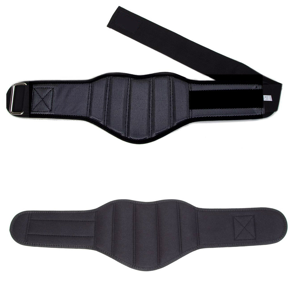Gym Training Belt
